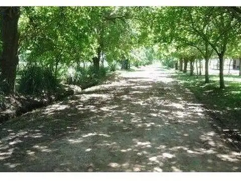 Terreno - Venta - Argentina, Lobos