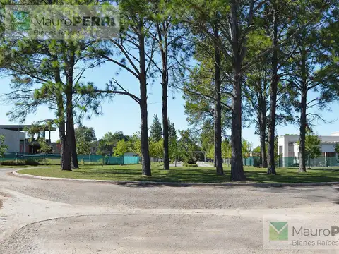 AVENIDA 137 EQUINA 90