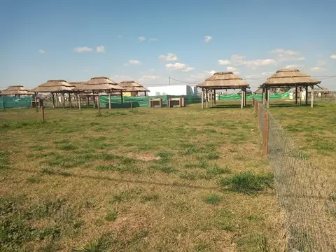 Terreno en Venta en Countries y Barrios Cerrados en General Rodriguez, Partido de General Rodríguez
