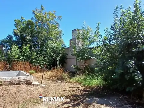 Pedro Pico 1400