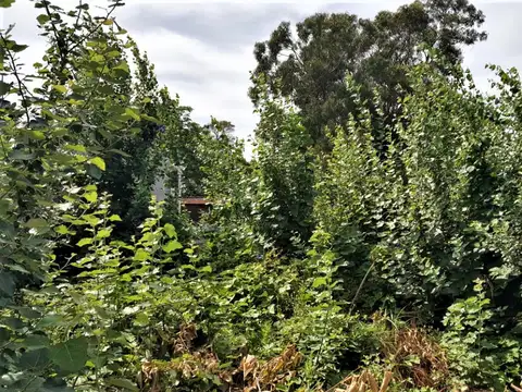 Terreno en Venta de 430,0 m2