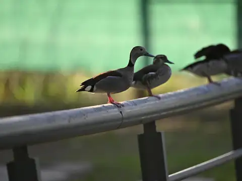 Terreno N°165 - A012 Km 7,5