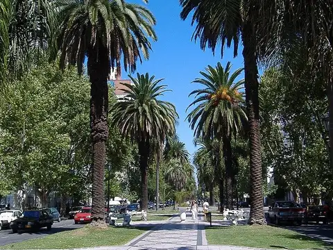 ALVEAR y SANTA FE