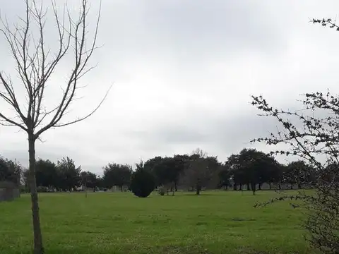 Haras San Pablo 300