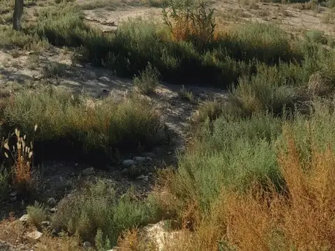 Terreno en Venta en Perdriel, $ 19.000.000
