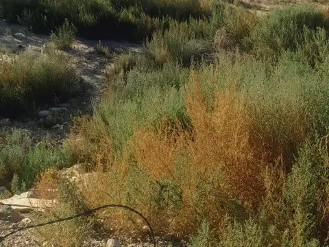 Terreno en Venta de 200,0 m2