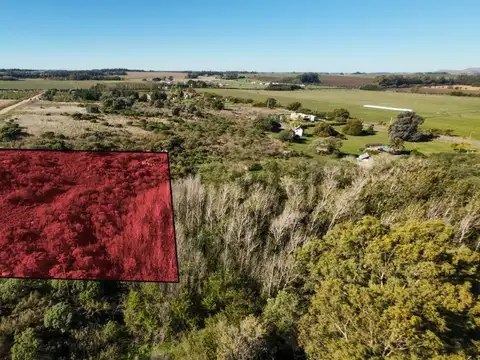 Terreno en Venta de 4192,0 m2