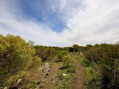 Terreno en Venta de 4192,0 m2