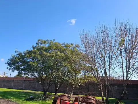 Terreno en Venta 50  mts Frente