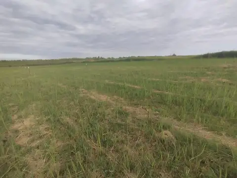 Terreno en Venta de 694,0 m2