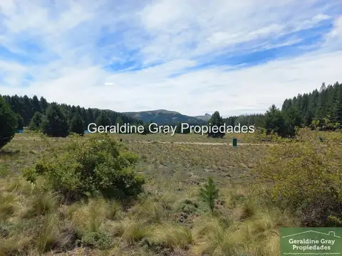 Terreno en Venta 50  mts Frente