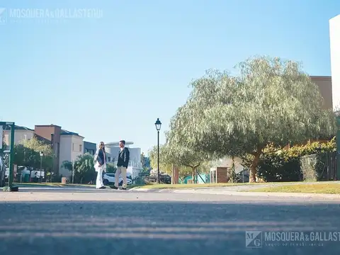 La Estela 15