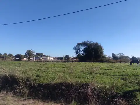 Terreno en Venta en Navarro, USD 49.000