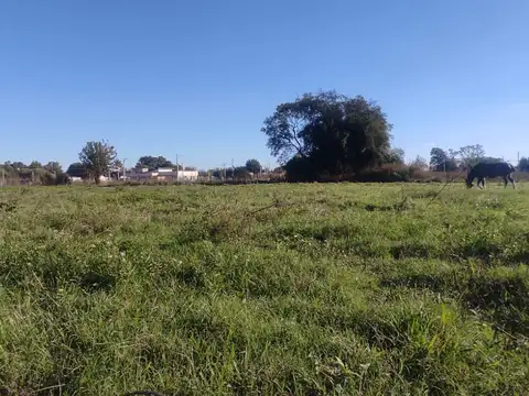 Calle 29 entre 30 y 32