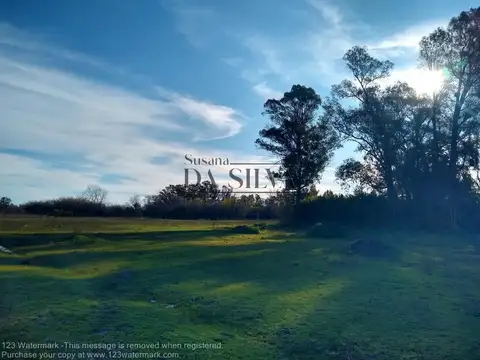 Terreno en Venta de 10500,0 m2