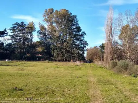 Balcarce Y Dr. Ferrari