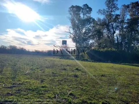 Terreno de 10.500 m2 en Marcos Paz