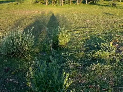 Campo en venta 5 ha, Marcos Paz.
