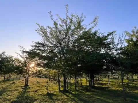 Calle Sin Nombre