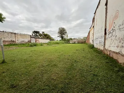 Ramon Raimundo 300