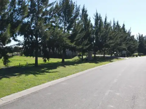 Terreno en Venta 21  mts Frente