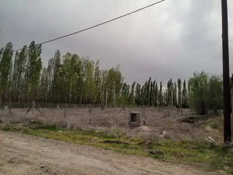 Chascomus y Pedro Luro 100