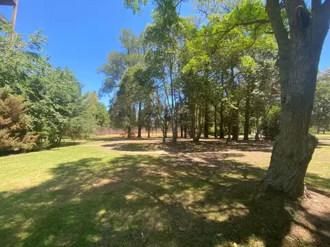 Terreno en Venta 32  mts Fondo