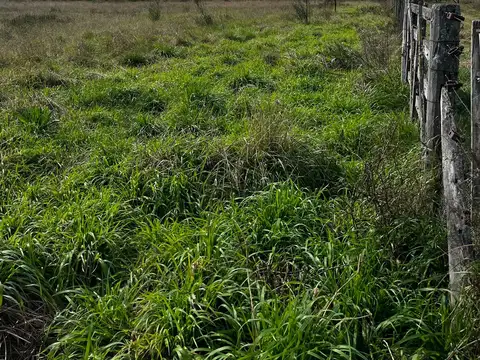 Terreno en Venta en San Antonio De Areco, USD 100.000