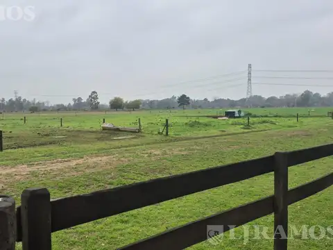 :NTA. Campo zona Polo 34 has. a 800 metros de la ruta 28 . Pilar