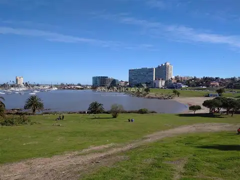 DEPARTAMENTO 1 AMBIENTE - PUERTO DEL BUCEO, MONTEVIDEO