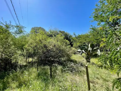 Av, Los Nacimientos