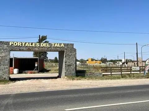 Ruta Provincial C45