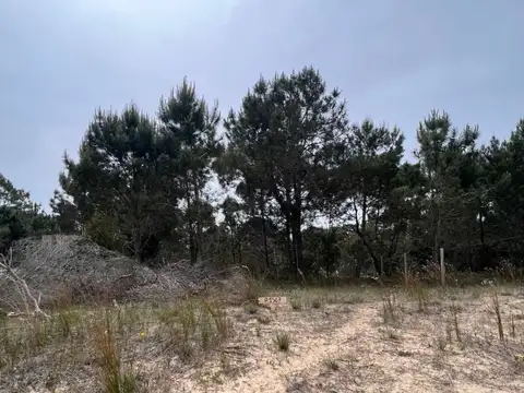 Terreno en Venta 30  mts Fondo