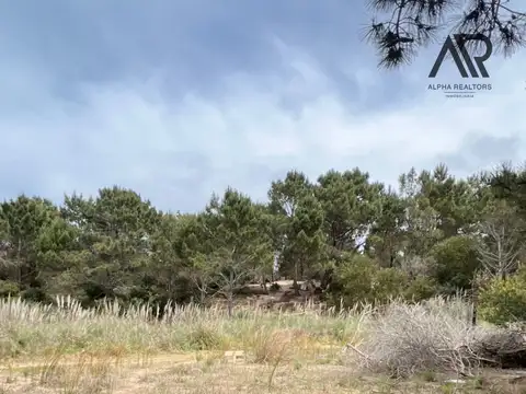 Terreno en venta en Paseo La Viuda, Punta del Diablo, Rocha 100