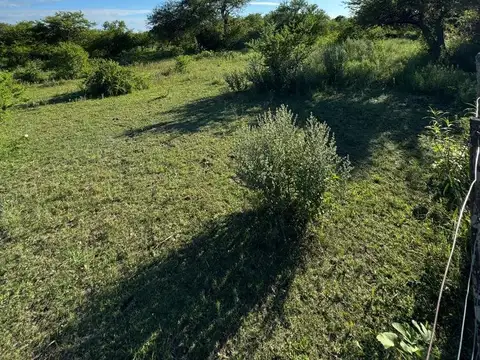 Campo 6 hectareas Sauce Corrientes