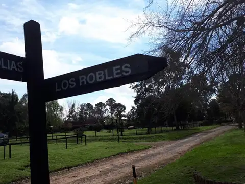 Lote en Venta El Cazador, La Prudencia