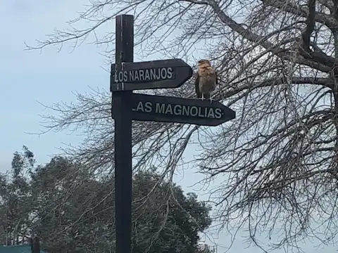 Terreno en Venta de 800,0 m2