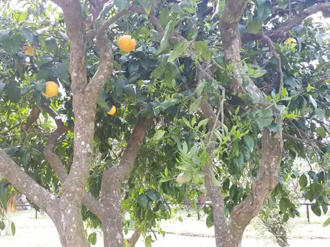 Terreno en Venta en El Cazador, USD 45.900