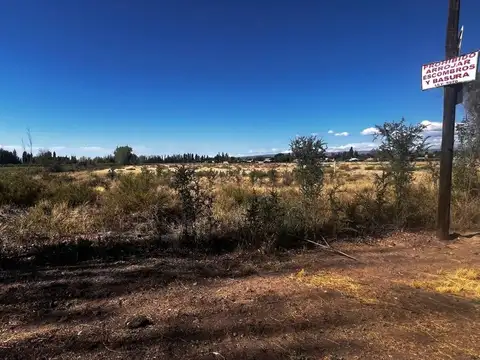 roque saenz peña 8900