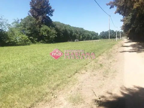 Loteo Campos del Paraná