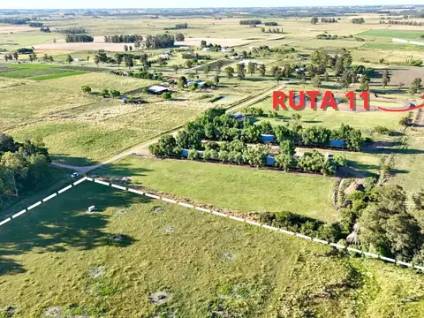 Ruta 11 136500