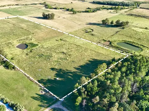 Vendo 8 hectáreas y media de campo en San Jacinto