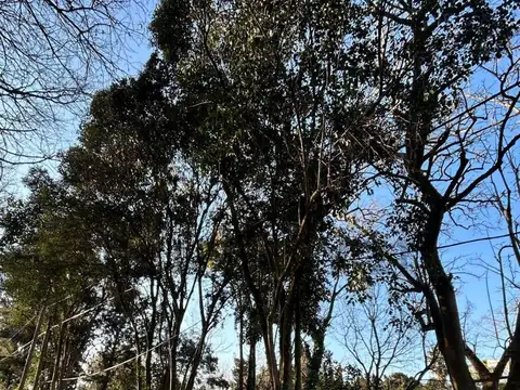 Lote en venta - CALLE 131 E/ 407 Y 408