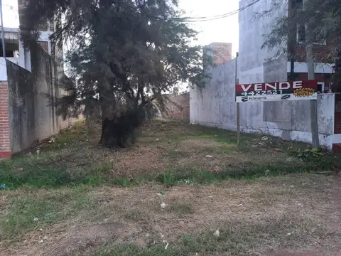 CALLE 12  SAN MARTIN 2200