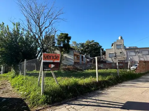 VENTA