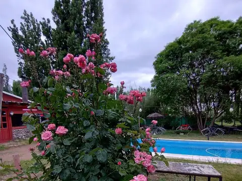 Local Comercial en Venta en Luján de Cuyo, Mendoza