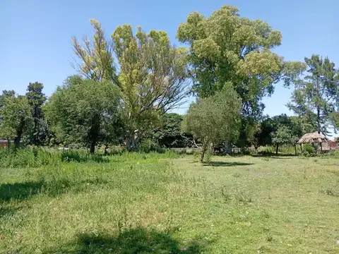 139 ENTRE 524 Y 525 - TERRENO EN VENTA DE 3597M2. SAN CARLOS, LA PLATA.