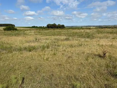 Campo en Venta de 4  ha