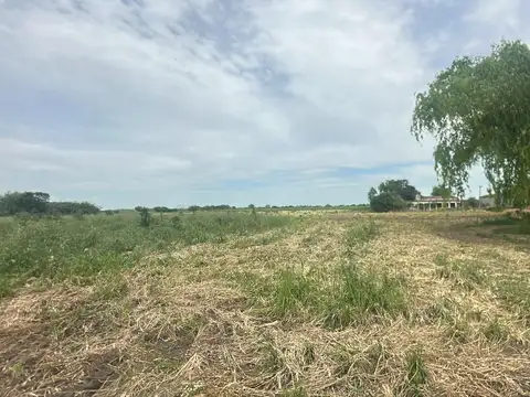 Campo en Venta de 14  ha