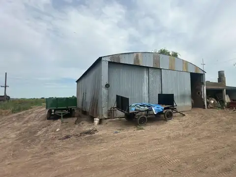 Campo en Venta Agrícola